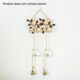 Creative Hydroponic Plant Glass Vase With Transparent Suspension (Option: Double Bottle)