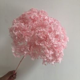 DIY Living Room Table Decoration Decoration Decoration Yongsheng Flower (Option: Light Shining Pink-20 25cm)